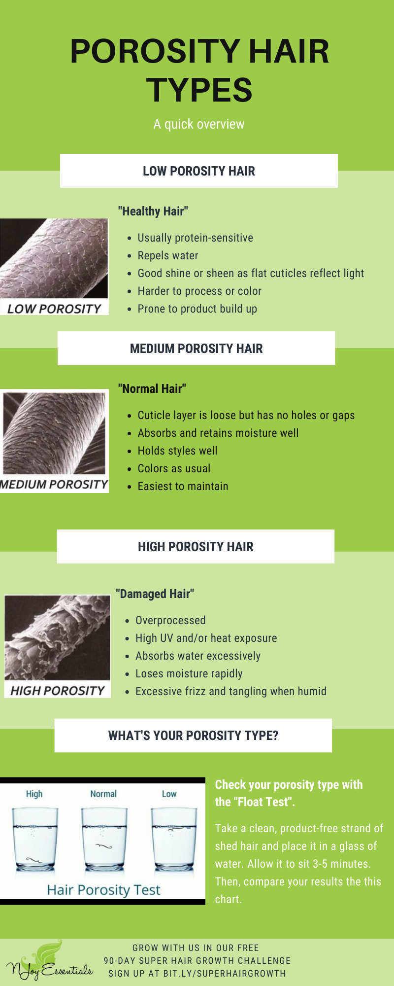 Hair Porosity Test What is Hair Porosity  How to Determine  Major Mag
